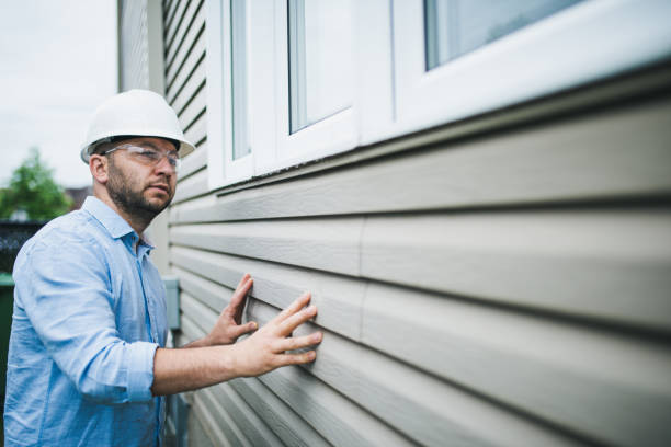 Best Brick Veneer Siding  in Lady Lake, FL